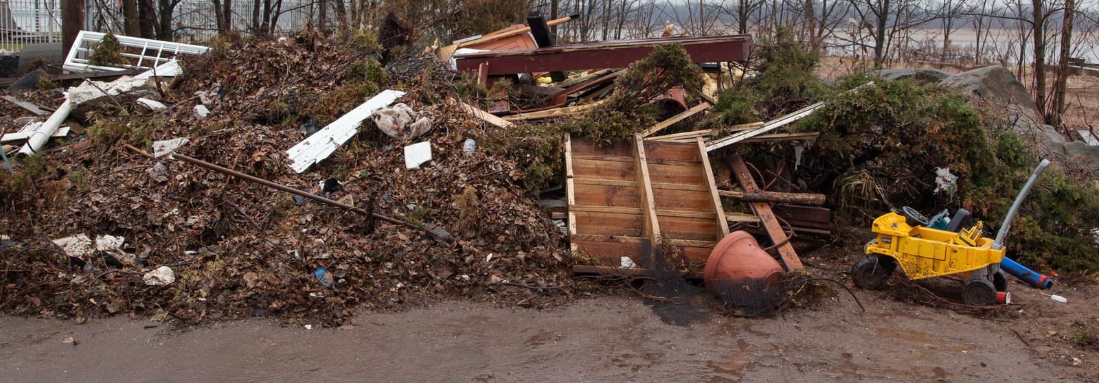 art-of-sandy-mo-staten island 2-74.jpg